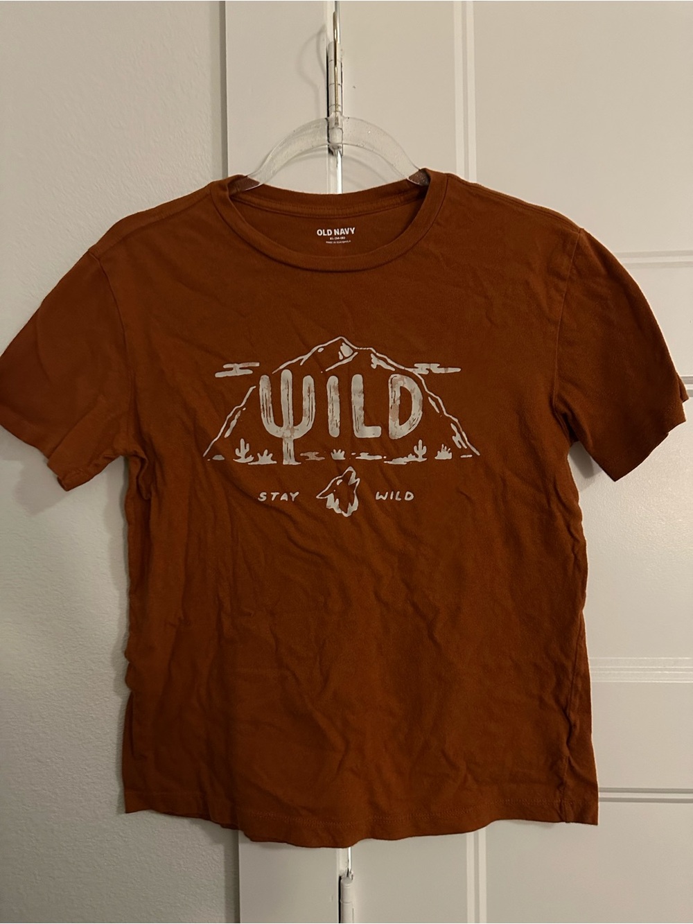 Old Navy Boy’s Rust Brown Graphic 'WILD' Tee